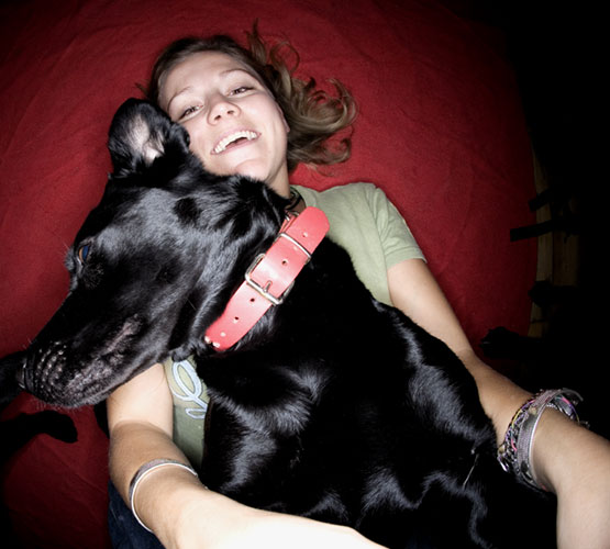 Dogs