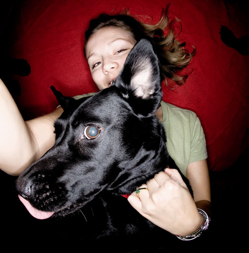 Dogs